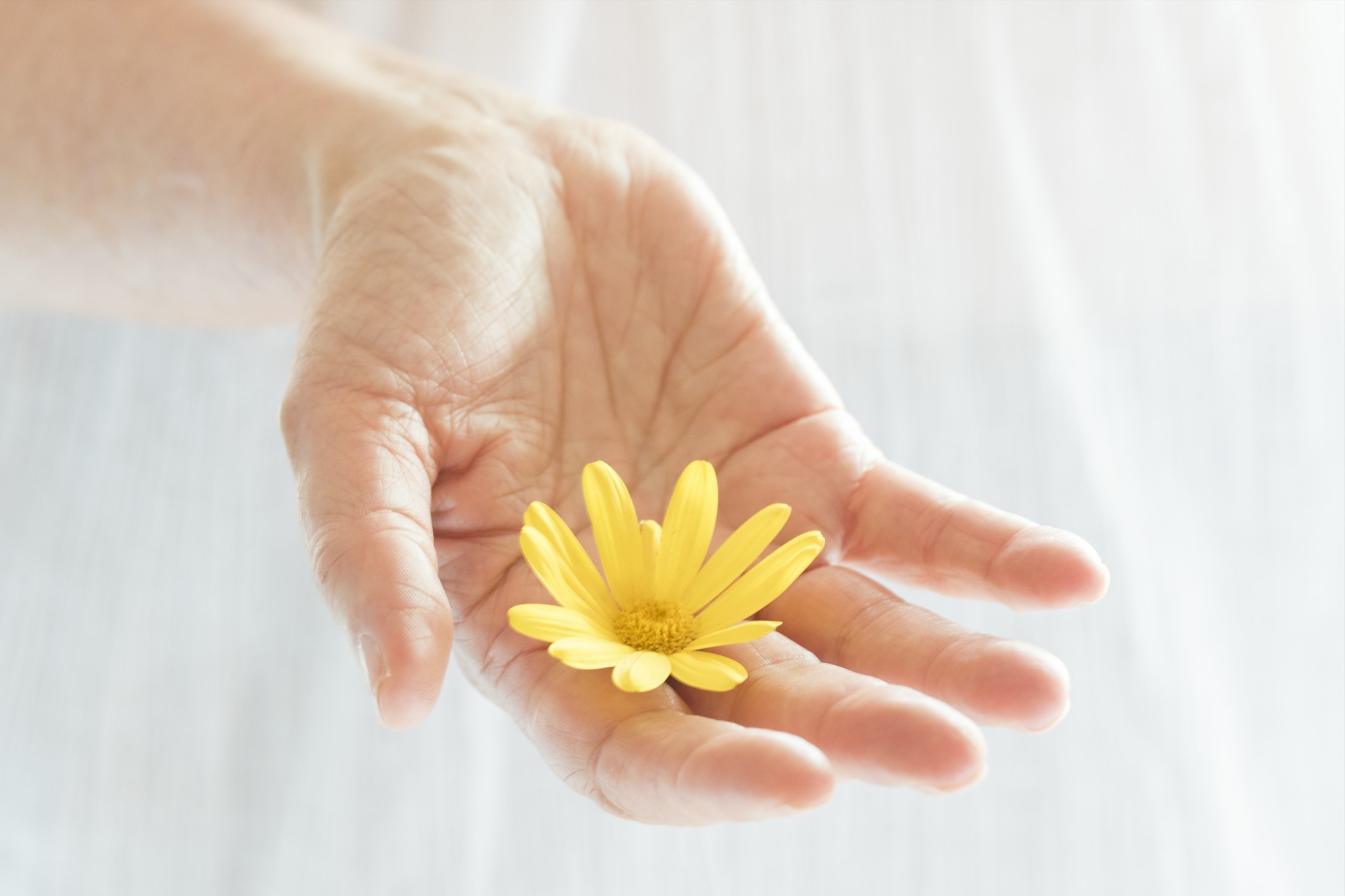 A tranquil Usui Reiki energy healing session, demonstrating hands-on biofield balancing and deep relaxation.