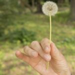 Holistic master practitioner Zelda Bradshaw preparing a tranquil, supportive space for deep emotional release and subconscious clearing.