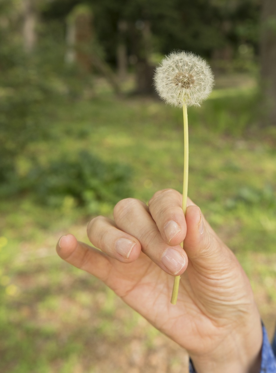Holistic master practitioner Zelda Bradshaw preparing a tranquil, supportive space for deep emotional release and subconscious clearing.